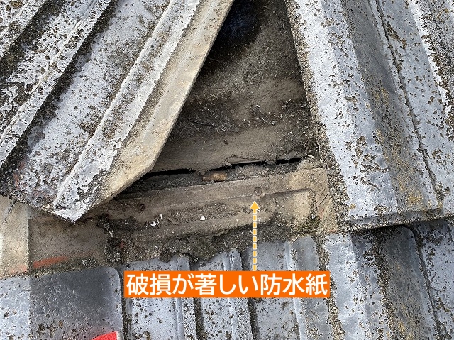 破損が著しいセメント屋根の防水紙