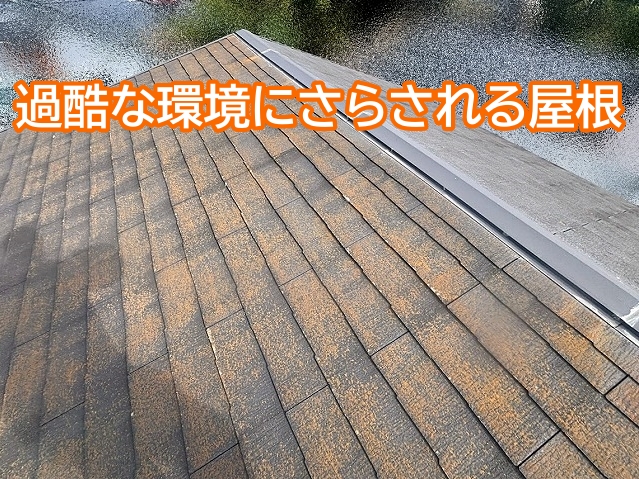 毎日過酷な環境にさらされる屋根は点検やメンテナンスが重要