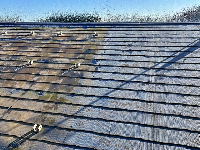 洗浄前のスレート屋根は太陽光パネルの下が変色するほどの汚れが蓄積した状態