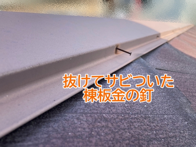 固定力が低下し抜けて錆びついた棟板金の釘