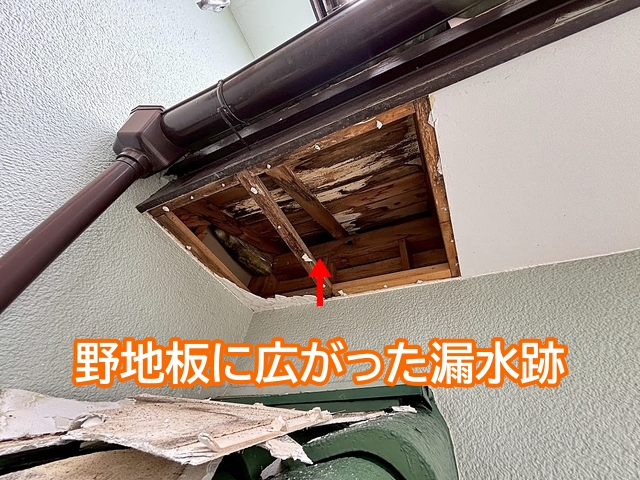 穴があいた軒天を調べたところ漏水の影響を受けた野地板を確認