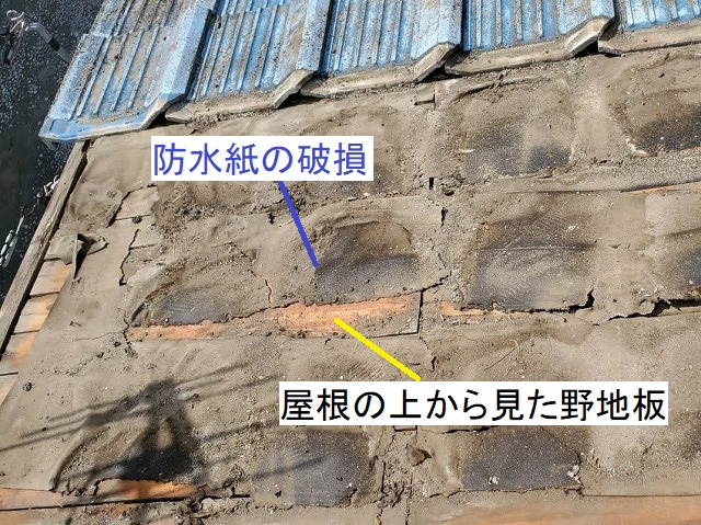 セメント瓦を捲ると、防水紙が破損しており野地板まで見える状態