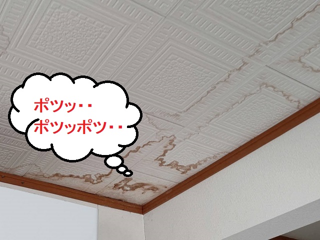 散水音が天井材に確認できる