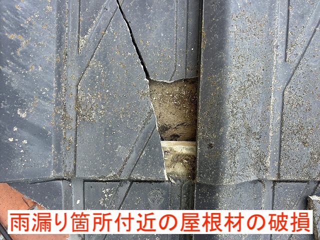 雨漏り箇所付近で破損した屋根材を発見