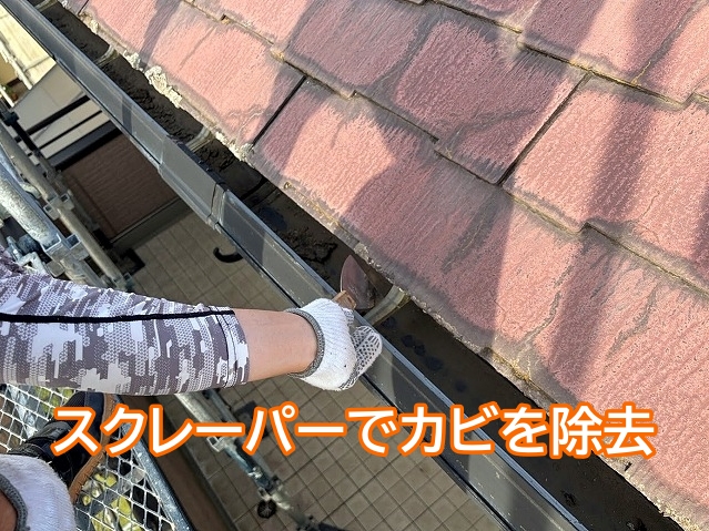 軒先のカビはスクレーパーを用いて除去