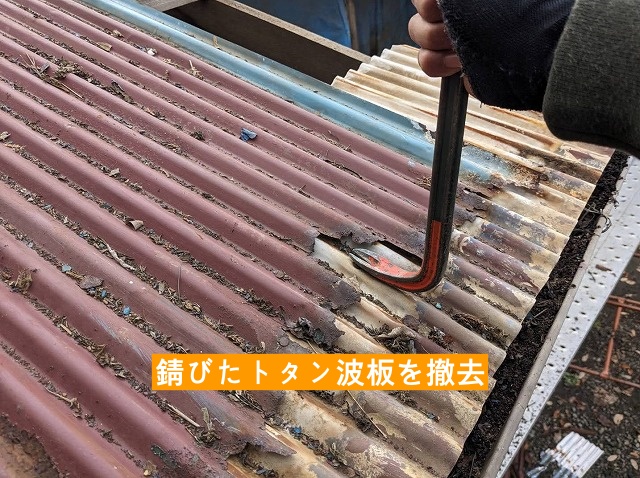錆びたトタン屋根の留め具を釘抜きで抜く