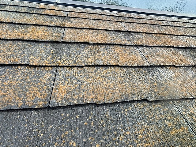 カビが広がり水を吸い込むようになったら塗装のタイミング