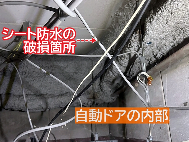 庇屋根の雨漏りの影響で自動ドアに不具合が発生