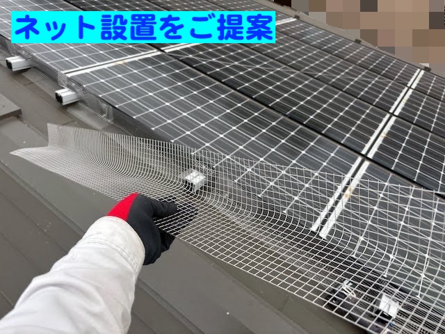 茨城町　太陽光パネルの下に鳩が侵入　太陽光パネルにネット設置作業の写真