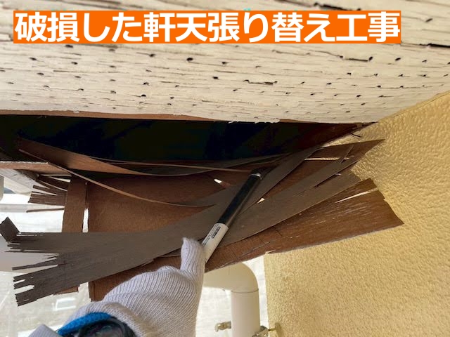 破損した軒天は表面塗装では改善できないため、張り替え工事が必要な状態