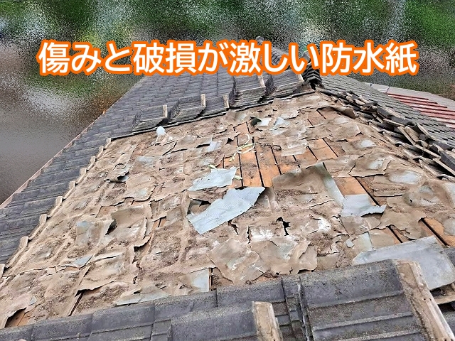 劣化が著しい築45年超えの防水紙