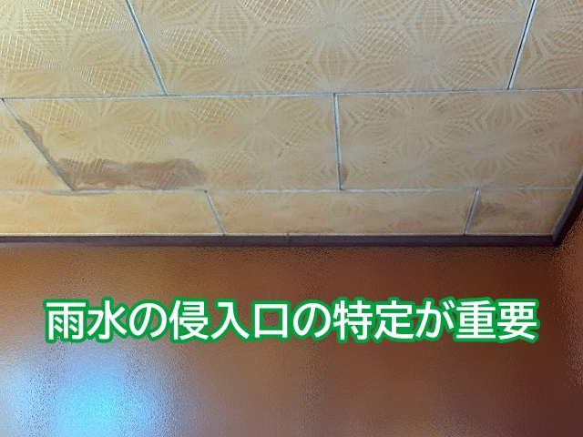 雨漏り調査は侵入口の特定が重要