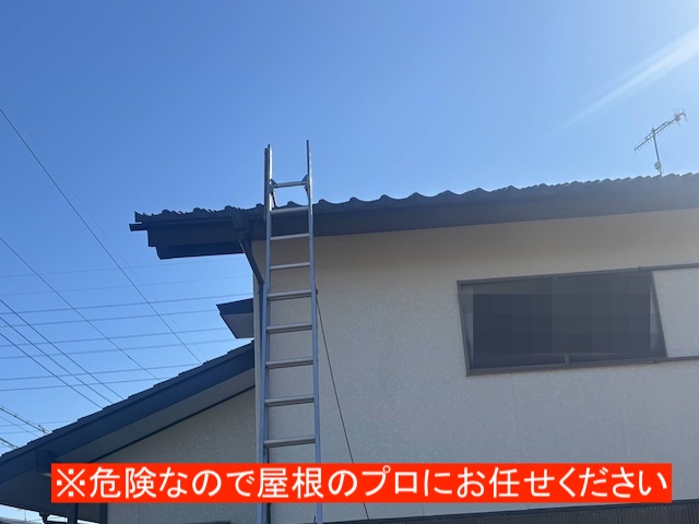 高所での屋根の点検は危険！