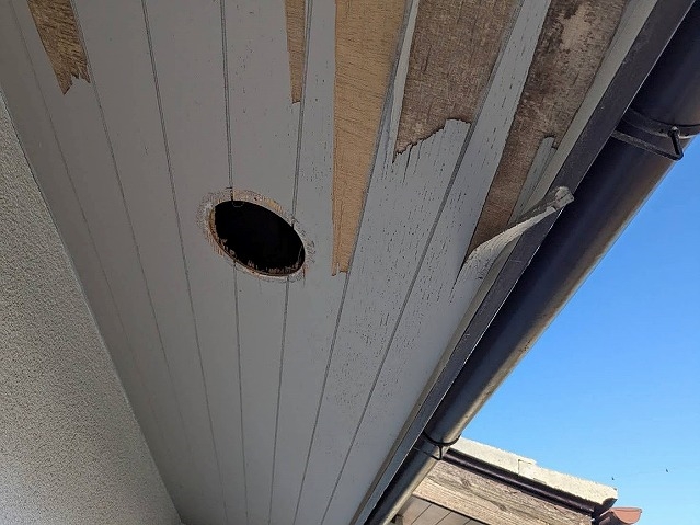 ばさばさにめくれた軒天