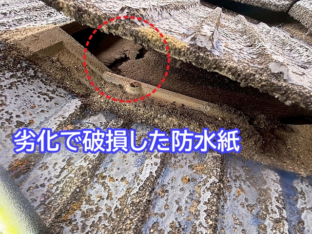水戸市　築40年以上の屋根で雨漏り！防水紙破損と緩勾配のダブルパンチ
