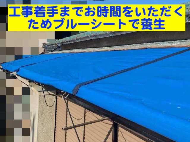水戸市　台風でトタン屋根がめくれた現場調査　ブルーシート養生後の写真