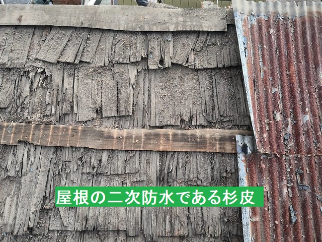 トタン屋根を捲ると、二次防水の杉皮が現れる
