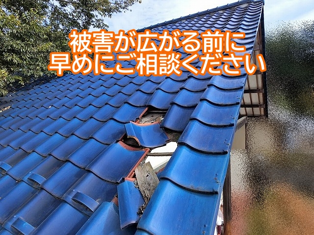 瓦がズレた場合は被害が広がる前に早めの対処が必要