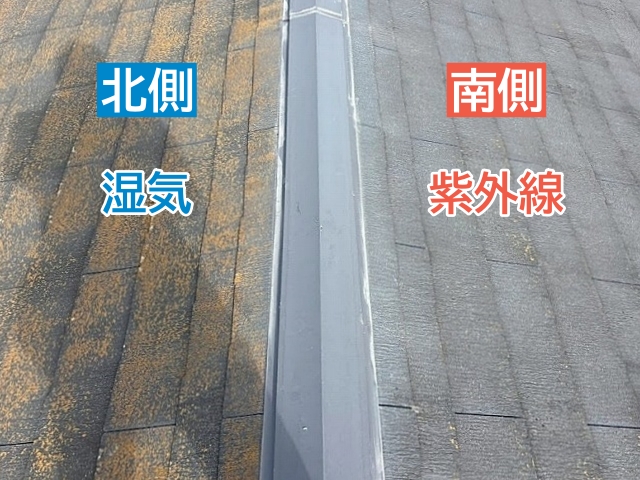 ひたちなか市　約15年経過のコロニアル屋根を診断！カビは塗装のサイン