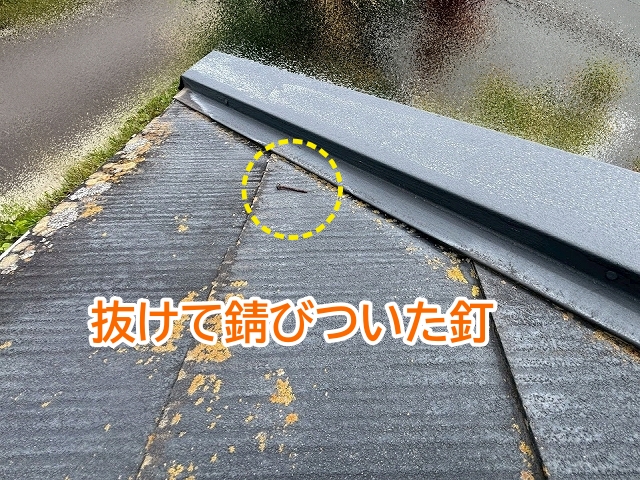錆に覆われた棟板金から抜けた釘
