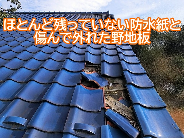 大洗町　青瓦屋根が部分的にズレて防水紙と野地板も破損！葺き直しが必要