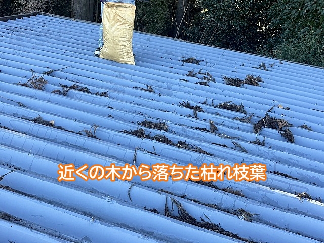 アパートの折板屋根に溜まった枯れ枝葉