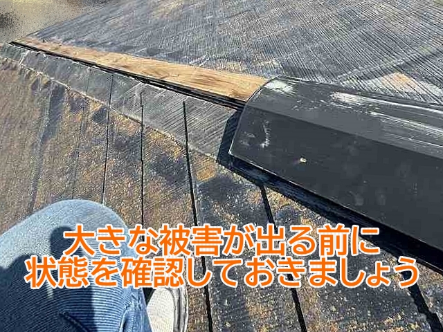 春の強風の後は大きな被害が起こる前に現状を確認することが大切