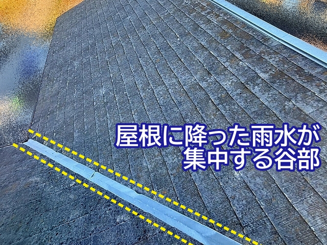 屋根に降った雨水が集中して流れる谷部