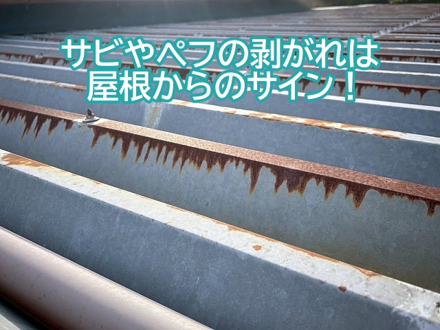 折板屋根のサビやぺフの剥がれは点検のサイン