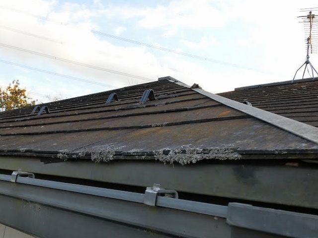 屋根リフォームのきっかけは屋根の汚れ藻カビ