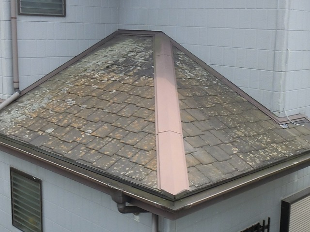 結城市の現場の下屋根は塗膜が剥がれて変色しカビや苔も発生している
