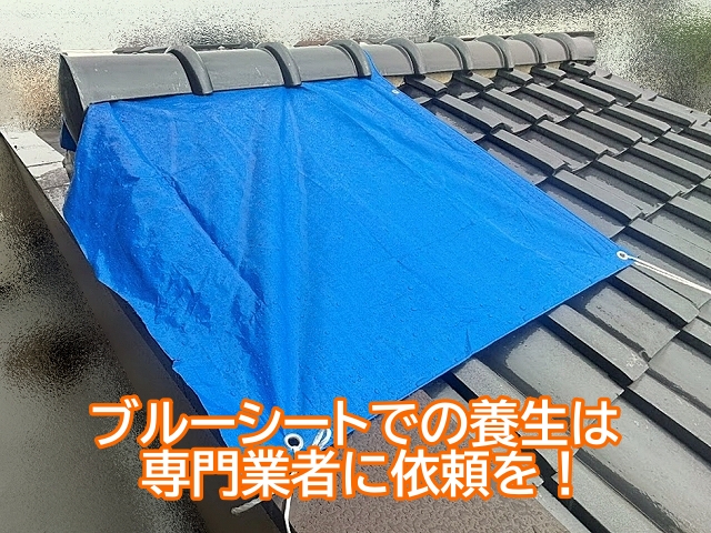 【茨城県の方へ】週末の台風7号接近前に屋根被害と雨漏り対策を再確認