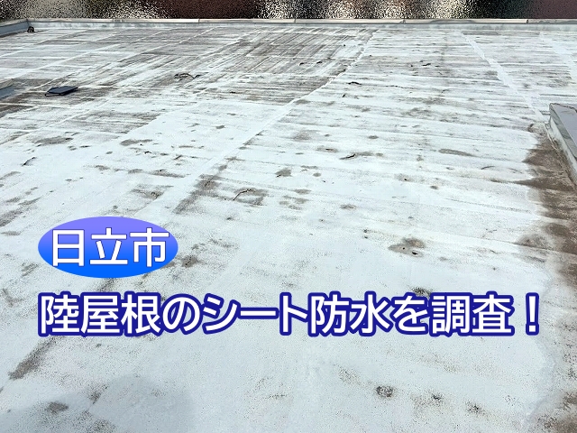 日立市　雨漏りする陸屋根のシート防水を撤去しウレタンで再防水工事へ