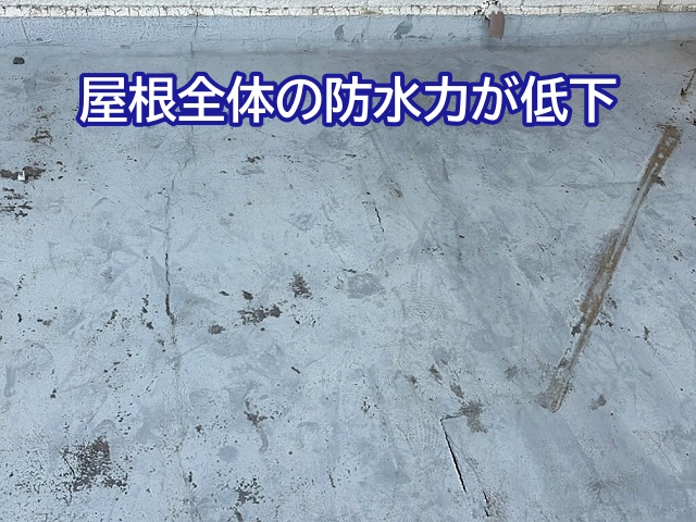シート防水の劣化が全体に及び陸屋根の防水層の傷みが進行