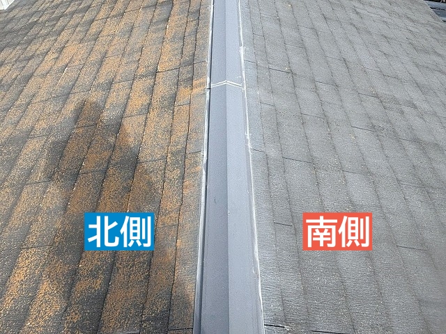 日当たりが悪く湿気がこもりやすい屋根の北側にカビやコケが発生