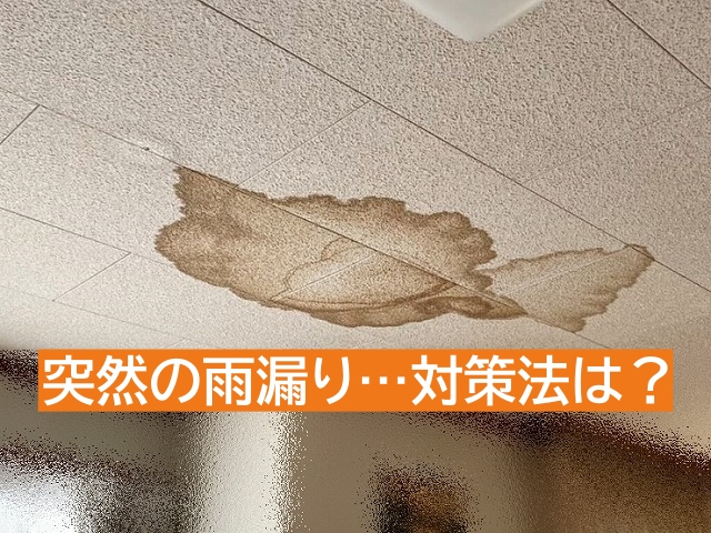 水戸市 ゲリラ豪雨の雨漏り対策!自分でできる応急処置と注意点とは?