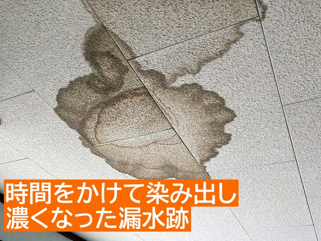 時間をかけて染み出した雪による雨漏りの跡を確認