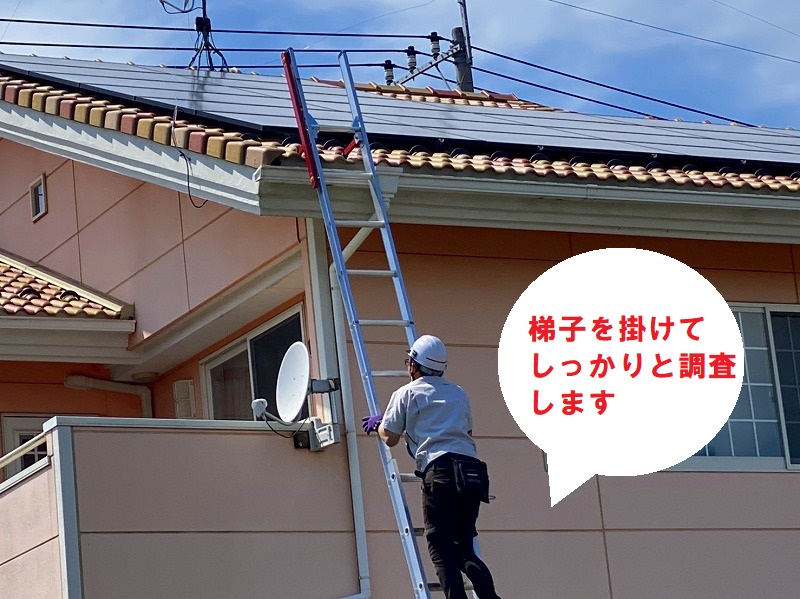 古河市のお客様は屋根に住み着いたスズメの声がうるさいので、屋根の調査を梯子を使用し点検します