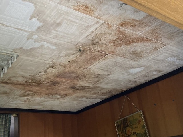 防水紙破損による天井雨漏り