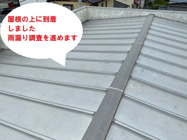 水戸市のパラペット屋根雨漏り調査で外屋根上から調査します