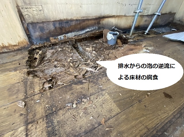 排水からの泡の逆流により床材が腐食している
