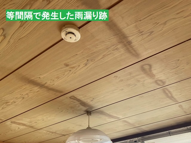 居室の天井に等間隔で発生している雨漏り
