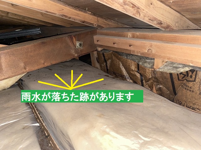 天井裏の断熱材に雨水が落ちた跡がある