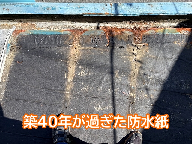 破損が見つかった築40年以上の防水紙