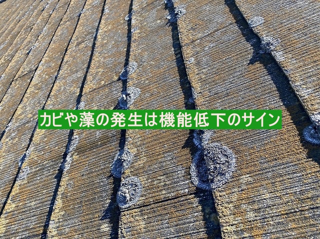 コロニアル屋根でのカビや藻の発生は機能低下のサイン