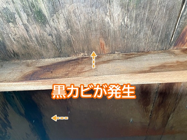 長年の湿気と漏水で黒カビが発生した軒天内部