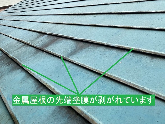 金属屋根の先端塗膜剥がれは、メンテナンスのサイン
