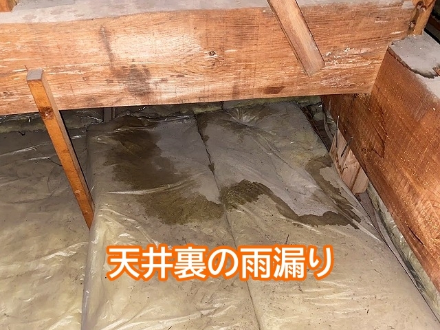 天井裏の断熱材の雨漏り