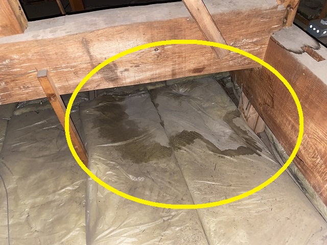 屋根裏に敷かれた断熱材に雨染みを確認