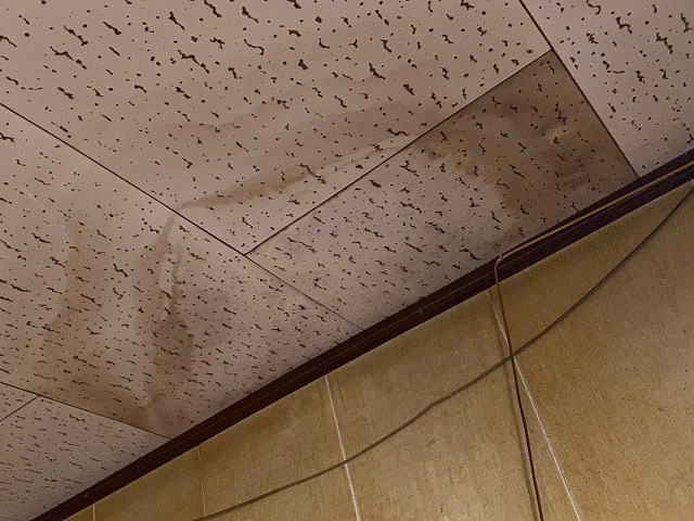 洋室のジプトーン天井材への雨漏り